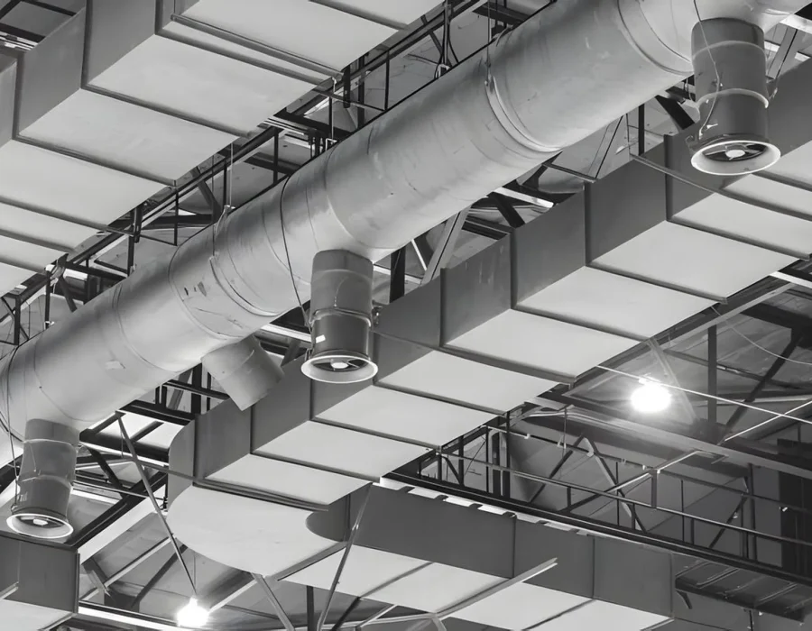 istockphoto-921816802-612x612